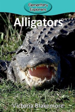 Alligators - Blakemore, Victoria