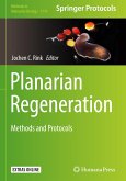 Planarian Regeneration