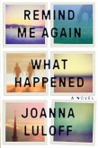 Remind Me Again What Happened (eBook, ePUB)