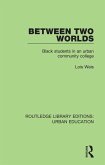 Between Two Worlds (eBook, PDF)