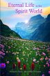 Eternal Life in the Spirit World - Bild 1