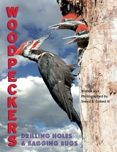 Woodpeckers: Drilling Holes and Bagging Bugs - Collard III, Sneed B.