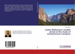 Lattice Boltzmann models aimed at the study of contaminants transport