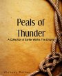 Peals of Thunder (eBook, ePUB) - Bild 1