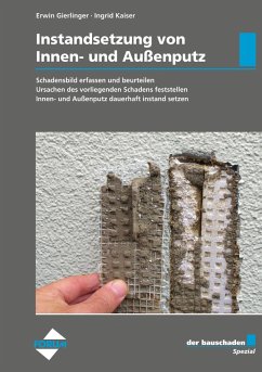 Cover der bauschaden Spezial Instandsetzung von Innen- und Außenputz (eBook, ePUB)