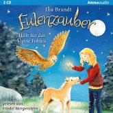 Hilfe für das kleine Fohlen / Eulenzauber Bd.6 (MP3-Download)