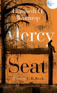 Mercy Seat (eBook, ePUB) - Winthrop, Elizabeth H.