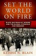 Set the World on Fire (eBook, ePUB) - Bild 1