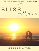 Bliss Mess: The Wonders and Challenges of Ascension (eBook, ePUB)