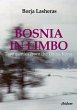 Bosnia in Limbo - Bild 1
