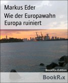 Wie der Europawahn Europa ruiniert (eBook, ePUB)