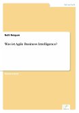Was ist Agile Business Intelligence?