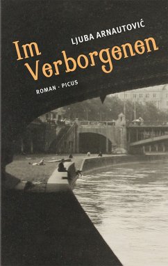 Im Verborgenen (eBook, ePUB) - Arnautovic, Ljuba