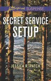 Secret Service Setup (eBook, ePUB)
