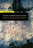 Novos Andarilhos do Bem - Caminhos do Acompanhamento Terapêutico (eBook, ePUB)