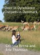 Deer in Dyrehaven - Outpets in Denmark... - Bild 1
