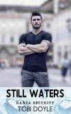 Still Waters (Garza Security, #1) (eBook, ePUB)