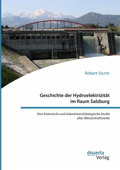 Geschichte der Hydroelektrizität im Raum Salzburg. Eine historische und industriearchäologische Studie alter Wasserkraftwerke - Sturm, Robert