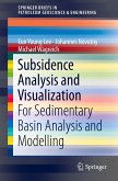 Subsidence Analysis and Visualization