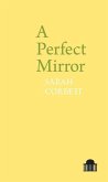 A Perfect Mirror