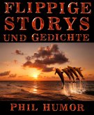 Flippige Storys und Gedichte (eBook, ePUB)