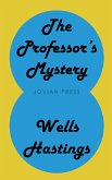 The Professor's Mystery (eBook, ePUB)