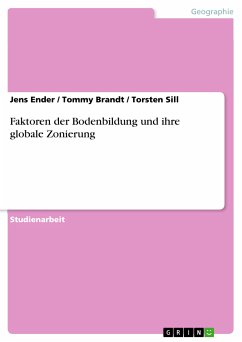 Faktoren der Bodenbildung und ihre globale Zonierung (eBook, ePUB)