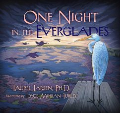 Cover One Night in the Everglades (eBook, ePUB)