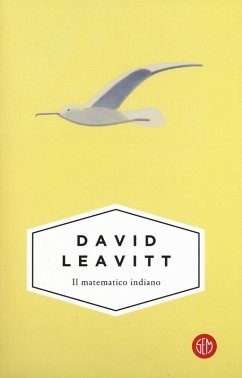 Cover Il matematico indiano