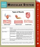 Muscular System (Speedy Study Guides) (eBook, ePUB)