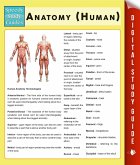 Anatomy (Human) (Speedy Study Guides) (eBook, ePUB)
