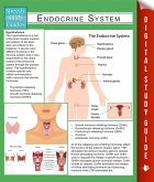 Endocrine System (Speedy Study Guides) (eBook, ePUB)