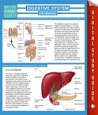 Digestive System (Humans) (Speedy Study Guides) (eBook, ePUB)