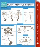 Human Nervous System (Speedy Study Guides) (eBook, ePUB)