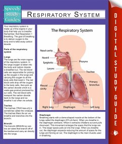 Respiratory System (Speedy Study Guides) (eBook, ePUB) - Publishing, Speedy