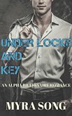 Under Locke and Key (eBook, ePUB) Under Locke and Key (eBook, ePUB)