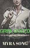 Grid Locked (Locked in Love, #4) (eBook, ePUB) Grid Locked (Locked in Love, #4) (eBook, ePUB)