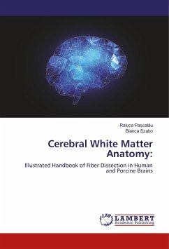 Cerebral White Matter Anatomy:
