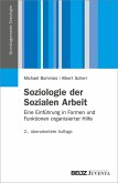 Soziologie der Sozialen Arbeit (eBook, PDF)
