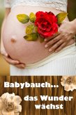 Babybauch...das Wunder wächst (eBook, ePUB)