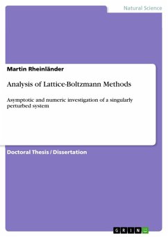 Analysis of Lattice-Boltzmann Methods (eBook, ePUB)