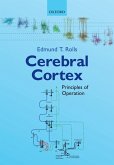Cerebral Cortex (eBook, ePUB)