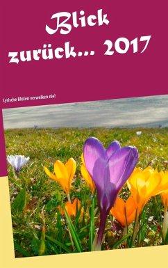 Blick zurück ... 2017 (eBook, ePUB)