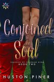 Conjoined at the Soul (eBook, ePUB)