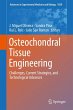 Osteochondral Tissue Engineering - Bild 1