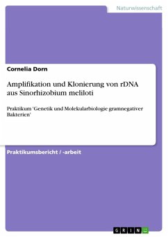 Amplifikation und Klonierung von rDNA aus Sinorhizobium meliloti (eBook, ePUB)