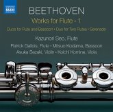 Werke Für Flöte Vol.1