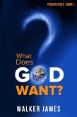 What Does God Want? (Perspectives, #1) (eBook, ePUB)