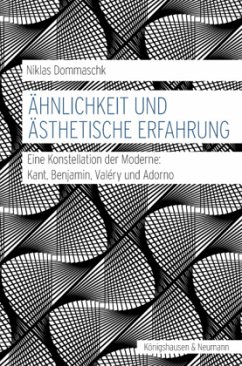 Ähnlichkeit und ästhetische Erfahrung - Dommaschk, Niklas