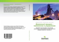 Domennyj process - tehnologii i uprawlenie - Lisienko, Vladimir;Chesnokov, Jurij;Lapteva, Anna